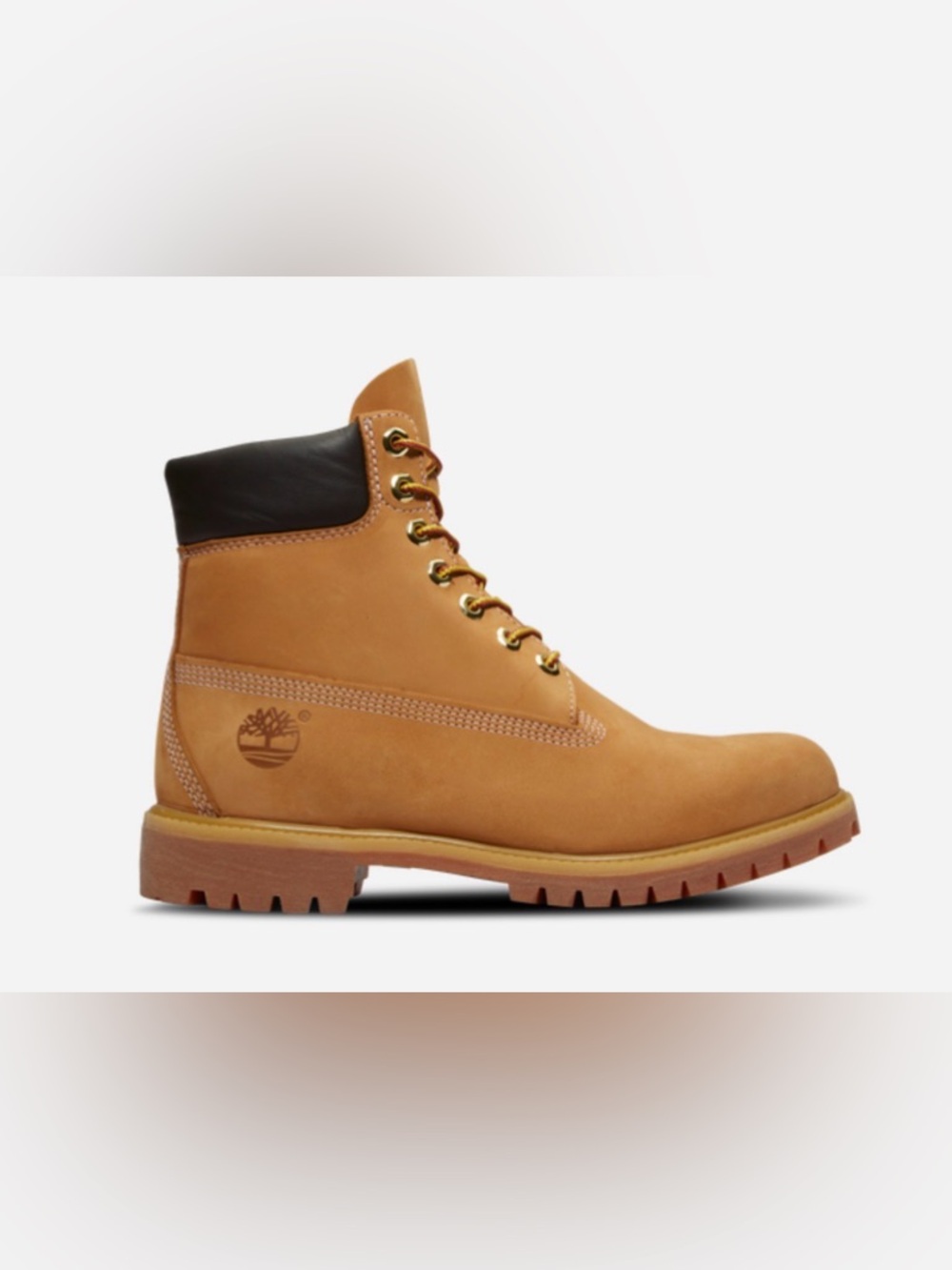 Timberland 6" Premium Waterproof Boots, Men’s size 12